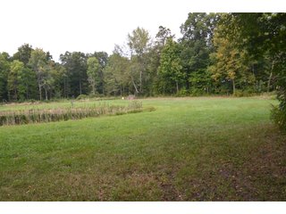 Pond in Dekalb County, Indiana - MAJOR LAND AUCTION - 516+/- ACRES OFFERED IN 18 TRACTS OR COMBINATIONS IN DEKALB COUNTY, INDIANA